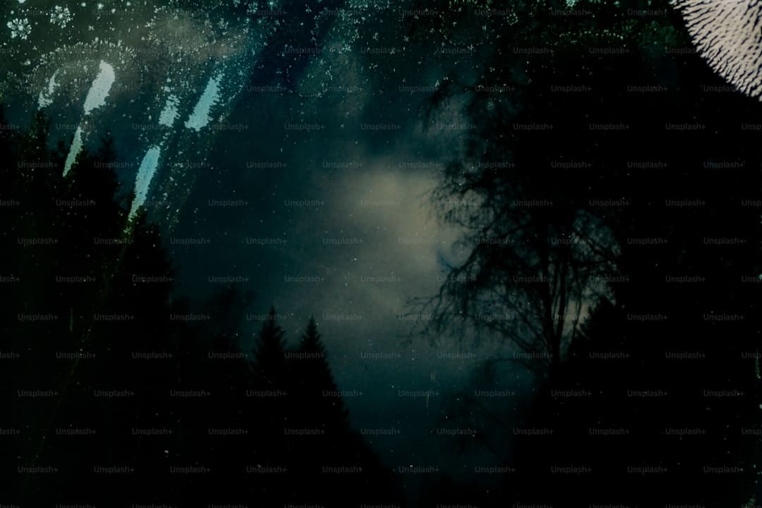 http://upload.mnw.cn/2025/0829/1756456552467.jpg
